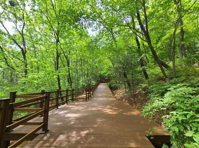 용인특례시가 정암수목공원 산책로 데크를 정비했다