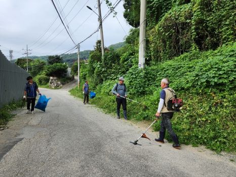 동두천시 소요13통 장년회, 가을맞이 환경정화활동에 구슬땀
