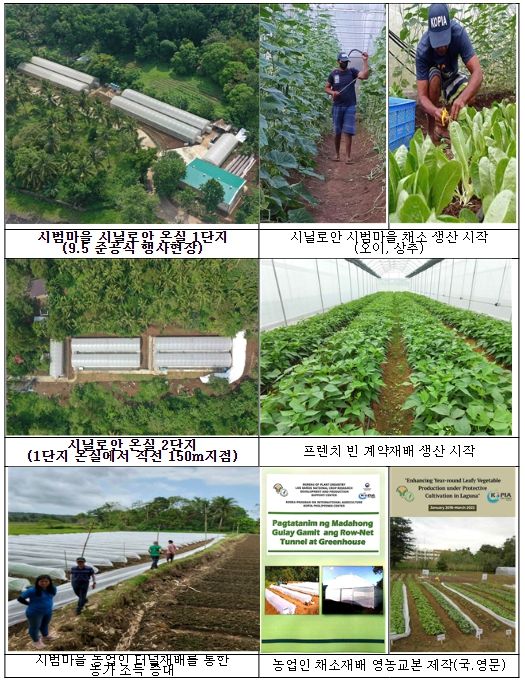 KOPIA 채소 시범마을 현장