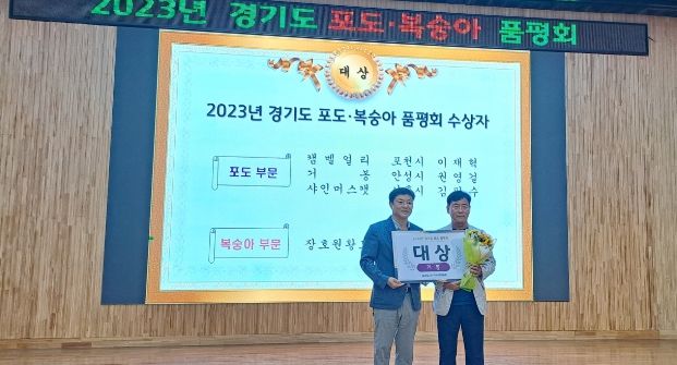 안성 포도, 경기도 포도·복숭아 품평회에서 대상 수상 등 우수한 성적 거둬