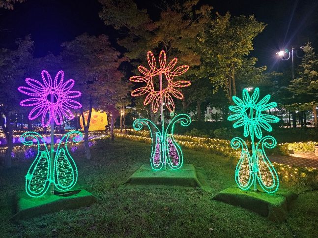 산림엑스포 속초 부행사장 다양한 체험프로그램과 연계행사 인기-청초호수공원