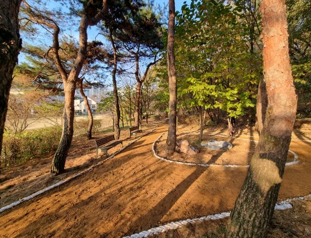 용인특례시 수지구 상현동 서봉숲속근린공원 내 산책로 일부 구간 어싱길 조성 공사 모습.