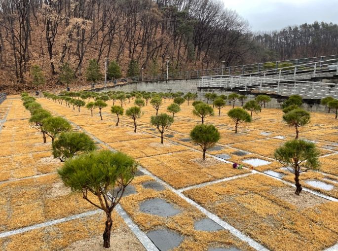 용인도시공사, 용인 평온의 숲 가족형 수목장 추가 조성