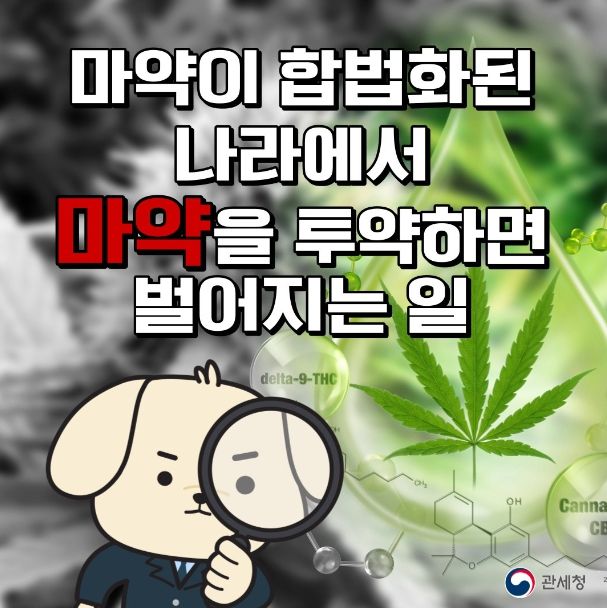 관세청