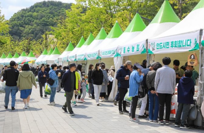 제13회 양평 용문산 산나물축제