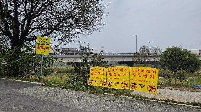 설 명절 대비 조류인플루엔자·아프리카돼지열병 등 가축전염병 특별 방역 대책 추진