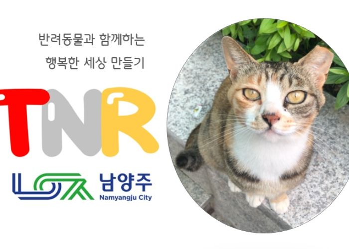 남양주시, 길고양이 중성화 수술비 지원사업 실시