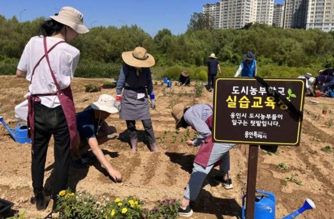 지난해 도시농부학교 텃밭교육에 참가한 시민들 모습