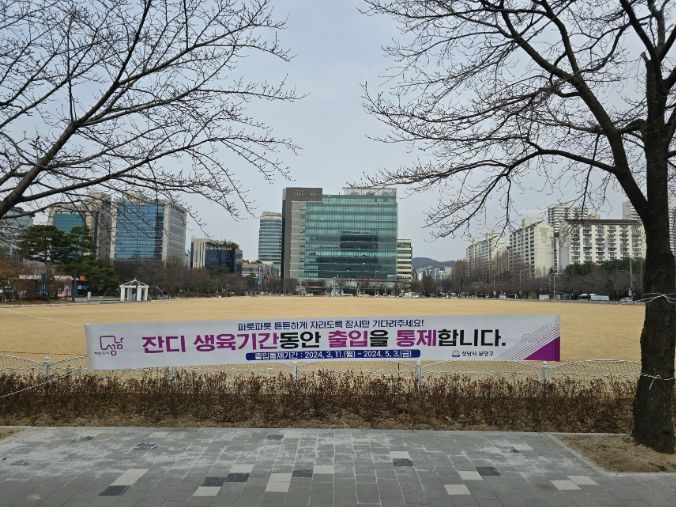 성남시, 분당구청 앞 잔디광장 5월 3일까지 '잔디 휴식기간제' 시행