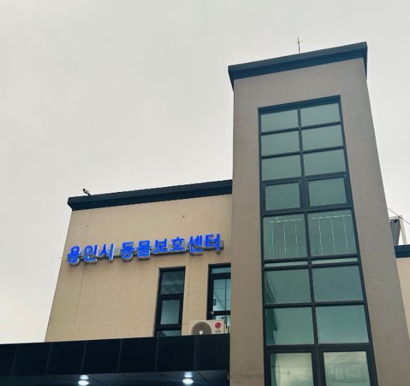 용인시 동물보호센터