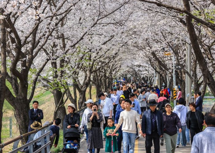 제7회 갈산 누리봄 축제