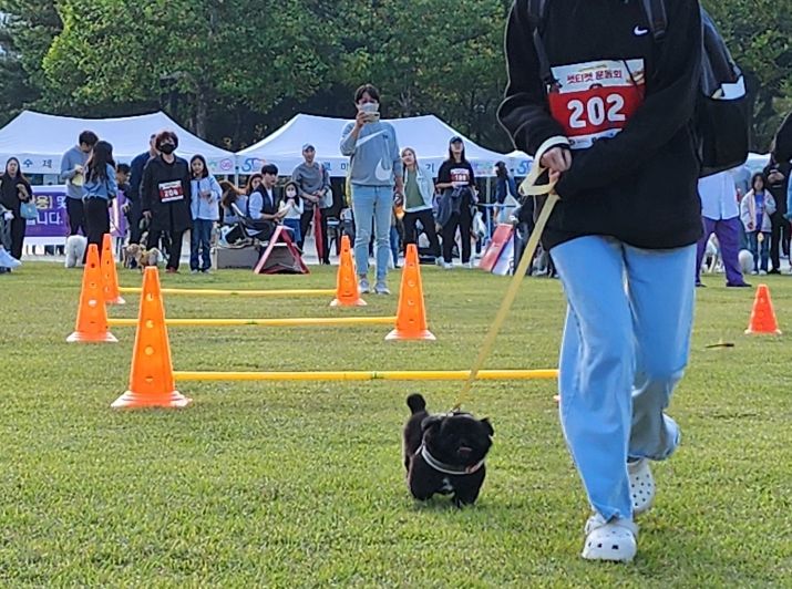 2023년 안양시 반려동물 축제 현장