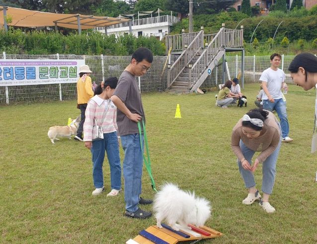 여주시, 반려동물 문화교실 운영