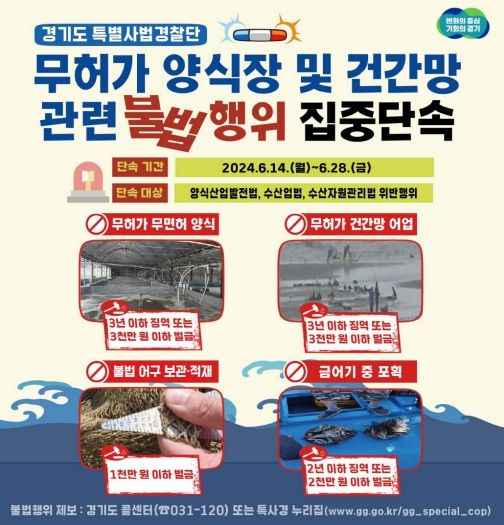 무허가양식장 및 건강망어업 단속