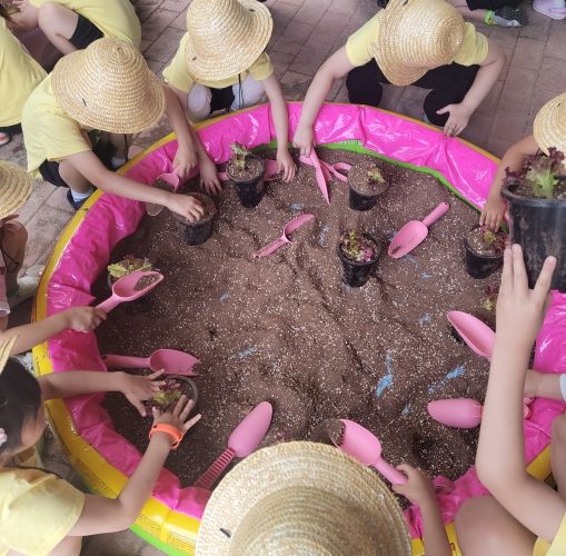나는야 꼬마농부(상추 모종 심기)