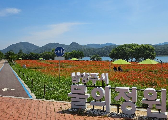 물의정원 꽃양귀비 초화단지(포토존앞)