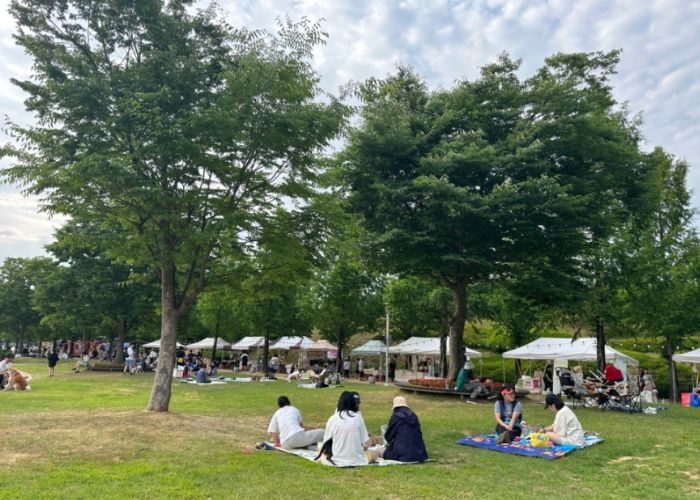 안성맞춤랜드, 『2024 댕댕이 시네마 피크닉』 성료
