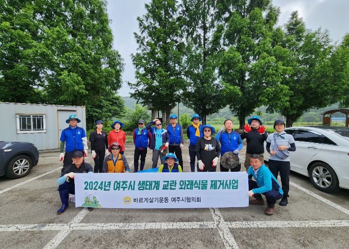 여주시, 시민과 함께 생태계교란 식물 가시박 제거 착수