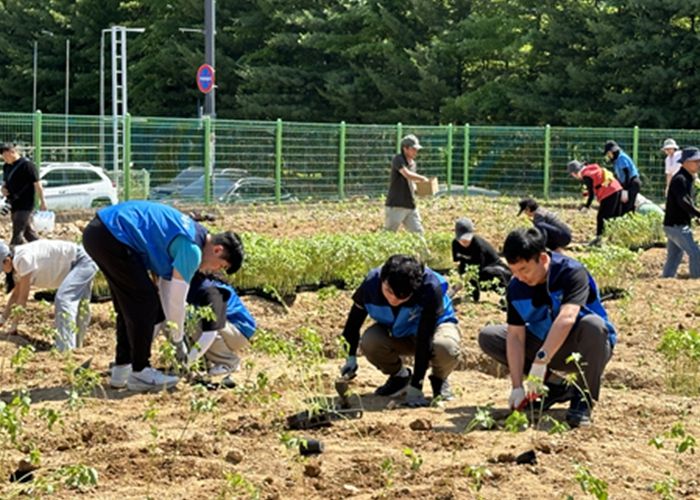 용인도시공사, 유휴 국유지 활용 도심 속 녹지 조성