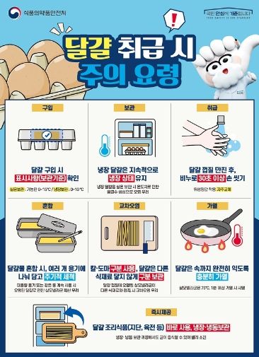 달걀 취급시 주의요령 포스터