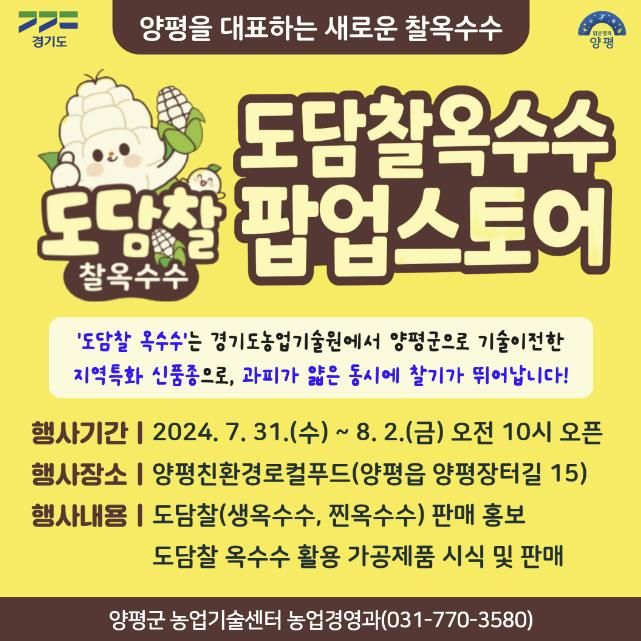 양평군, “도담찰옥수수 맛보러 오세요”