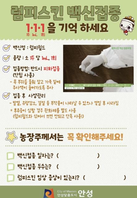 안성시, 정확한 럼피스킨 백신접종 요령 일제 배포