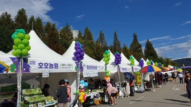 2024년 제17회 안성맞춤포도축제 성료