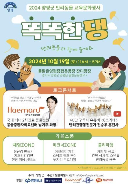똑똑한댕