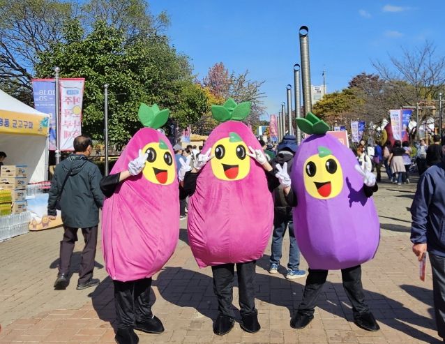 여주시 고구마 캐릭터, 명물이 되다!
