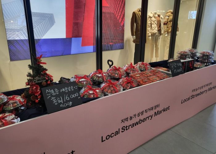 남양주시, 크리스마스 시즌 맞이 딸기 직거래 장터 개최