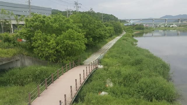 용인특례시의 규제 혁신 노력으로 지난 11월 15일 수변구역에서 해제된 포곡읍 일대