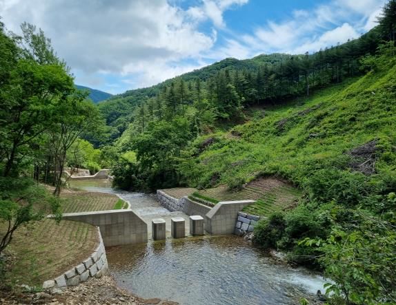 산사태방지(사방댐 조성)