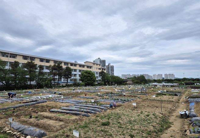 구리시, 2025년 토평동 구리도시텃밭 운영