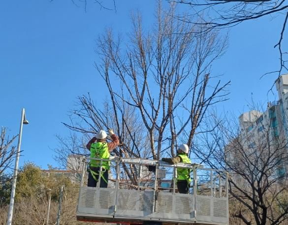 가로수 전정 작업 크레인 상차