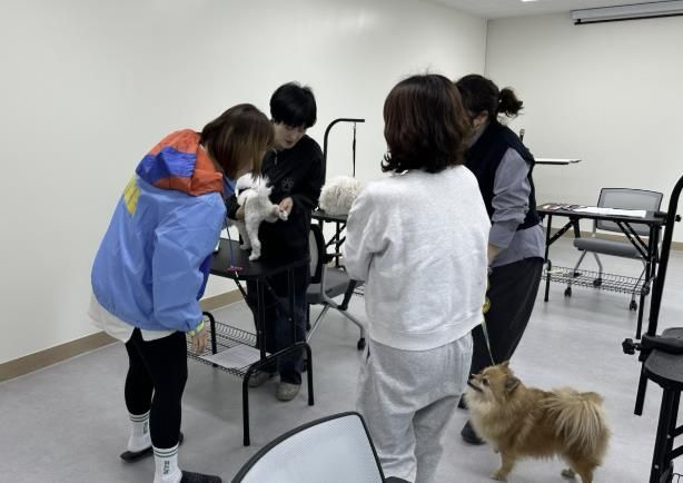 남양주시, 반려동물 교육 프로그램 운영…행복한 반려생활 실현
