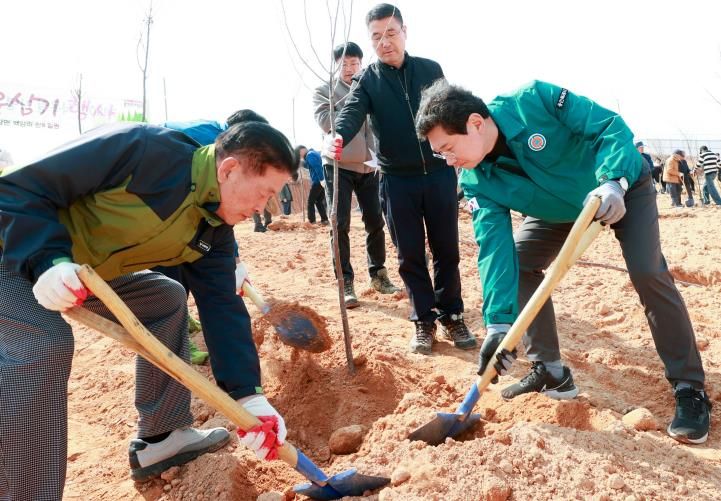 이상일 시장은 1일 '용인 Farm&Forest타운' 대상지에서 열린 나무심기 행사에서 시민들과 함께 산벚나무를 심고있다