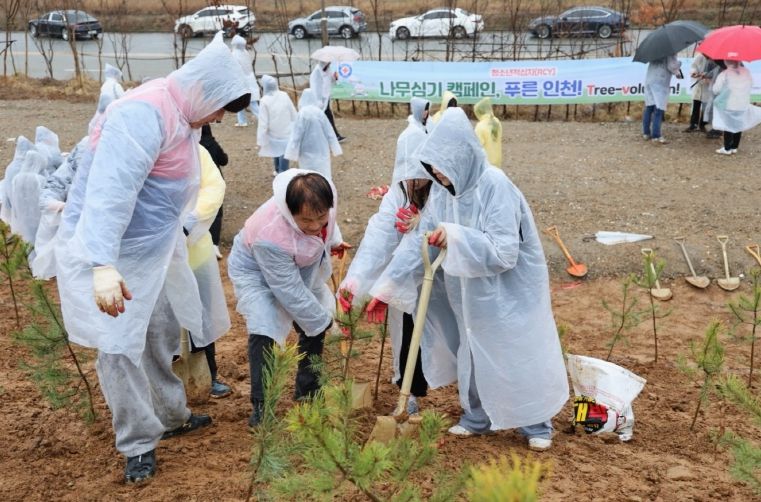 인천 RCY, 소나무 1,400그루 심으며 식목일 정신 되새겨