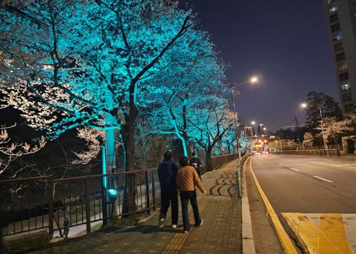 벚꽃길 따라 걷는 빛의 산책로…남양주시, 월문천 야간 경관조명 설치로 새 단장
