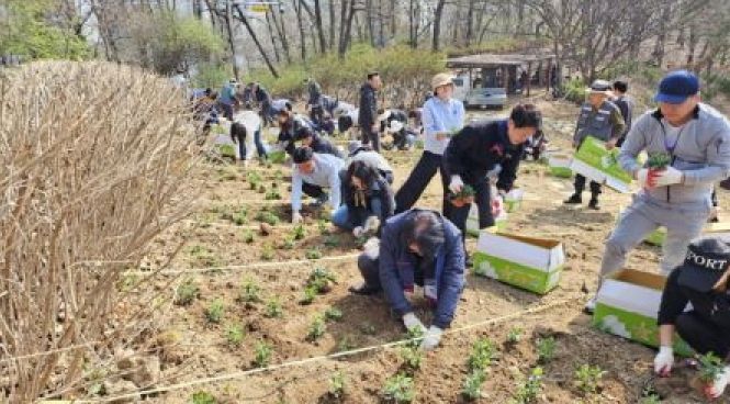 10일 봉담읍 동화마을생태공원에서 시민들이 초화정원 만들기 행사에 참여하고 있다.