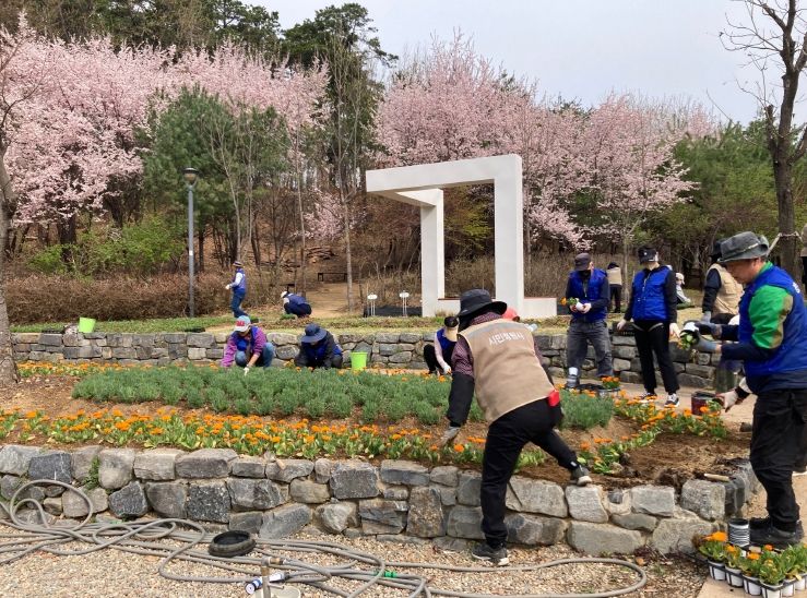 9일 청계중앙공원에서 시민정원사와 자원봉사자들이 꽃 심기 활동을 하고 있다.