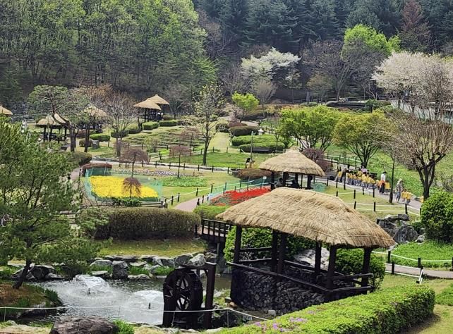 용인특례시 농촌테마파크 여름철 전경