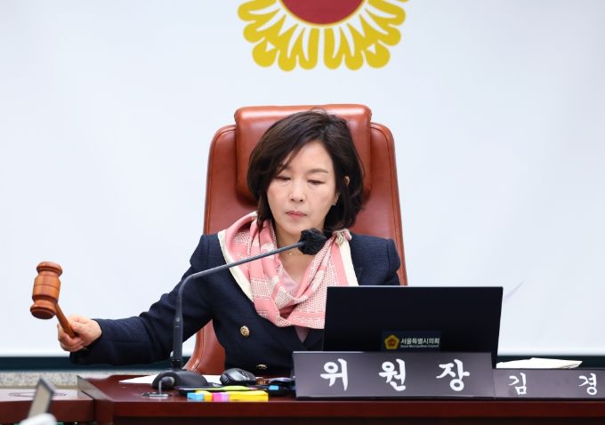 서울시의회 문화체육관광위원회 김경 위원장