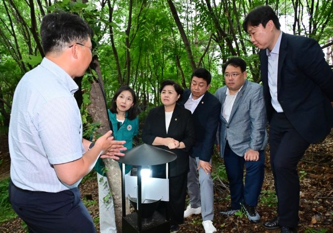 ‘러브버그(붉은등우단털파리) 친환경 포집 시범사업’ 현장 방문한 김영옥 보건복지위원장