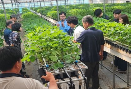 고품질 딸기 생산 위한 육묘기술 역량 강화