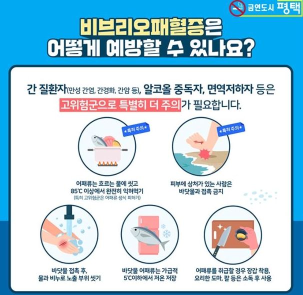 바닷물 온도 상승이 불러온 건강 위협, ‘비브리오패혈증’ 주의!