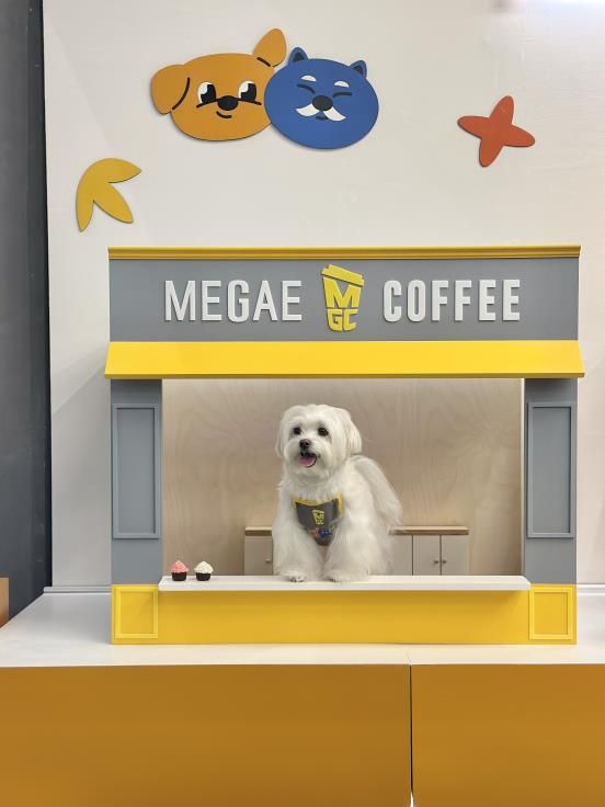 포천시 반려동물 웰컴센터, 포토존 리뉴얼 통해 반려가족 힐링 공간으로 재탄생