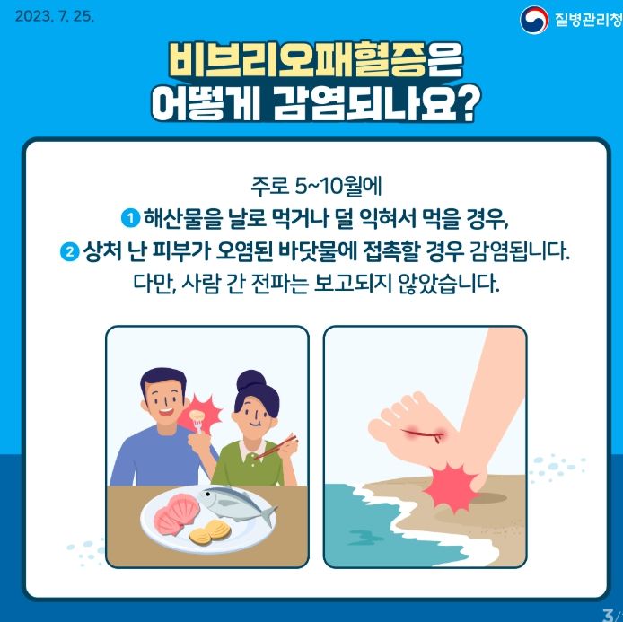 비브리오폐혈증 안내문