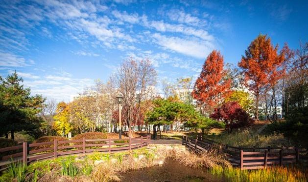 횡성 3.1공원, 산림청 주관‘모범도시숲’ 최종 선정