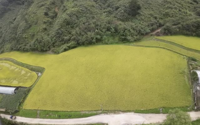 경기도 남양주시 조안면 시우리 222-3번지 일원에 있는 「구리시 관외 농지 활용 벼농사 체험장」 전경