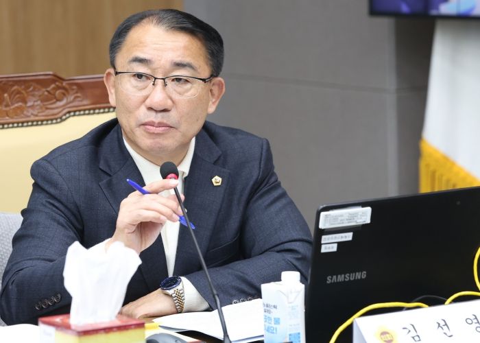 경기도의회 경제노동위원회·도청 예산결산특별위원회 김선영 부위원장(더불어민주당, 비례)